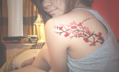 tumblr_ly6p21U2pr1r70a9wo1_400_large